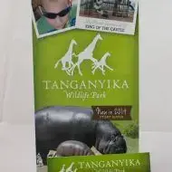 Brand Development by US Logo