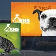 Graphic Design by US Logo