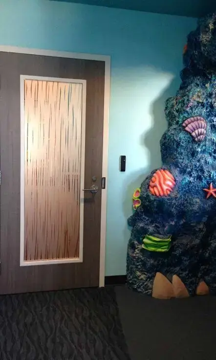 Window Graphics by US Logo