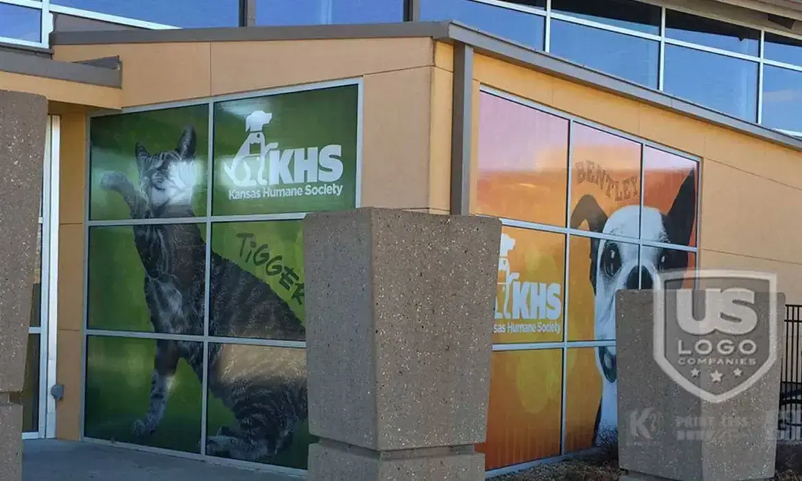 Window Graphics by US Logo