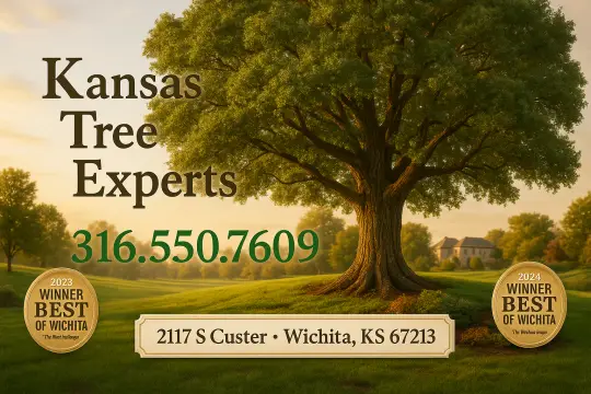 Kansas Tree Experts in Wichita, Ks with #1 tree services